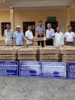 Hình ảnh hoạt động 01