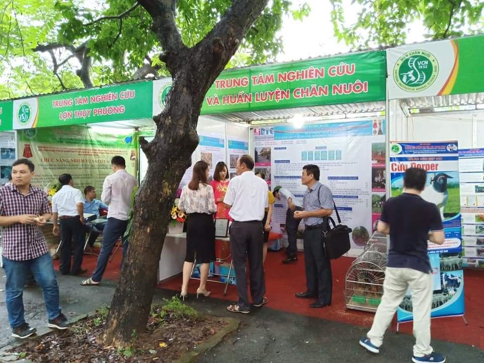 Hình ảnh hoạt động tập huấn chăn nuôi