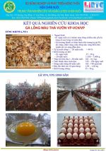 Hình ảnh hoạt động tập huấn chăn nuôi