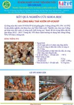 Hình ảnh hoạt động tập huấn chăn nuôi