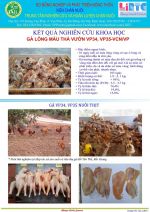 Hình ảnh hoạt động tập huấn chăn nuôi