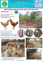 Hình ảnh hoạt động tập huấn chăn nuôi