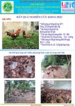 Một số thành tựu đạt được 02
