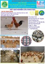 Một số thành tựu đạt được 02